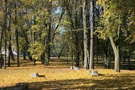 Park Lubomirskich
