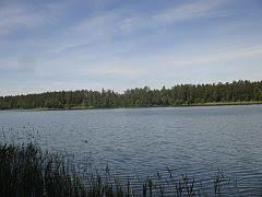 Blizno