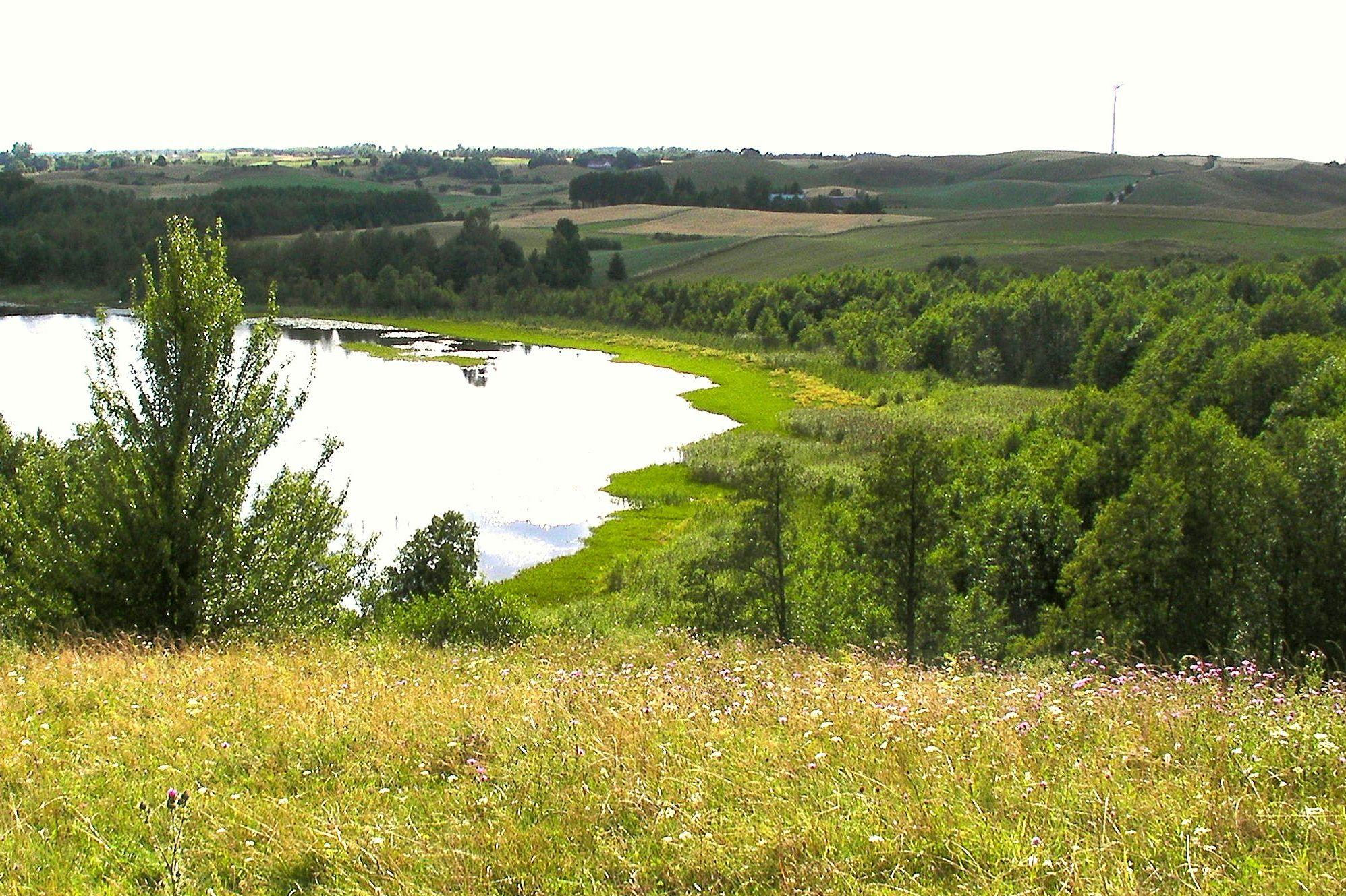 Jegliniszki