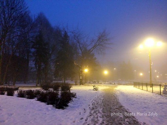 Park Miejski