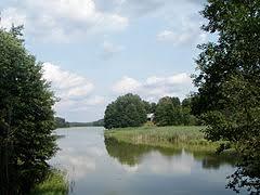 Sajenek